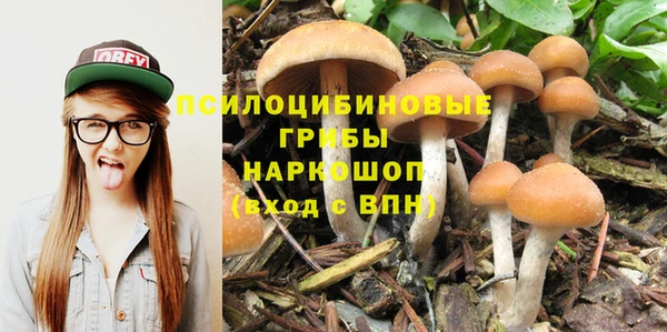 кокс Баксан