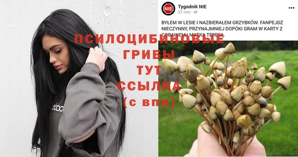 а пвп мука Балахна