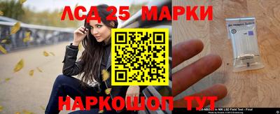 молекула духа Нальчик