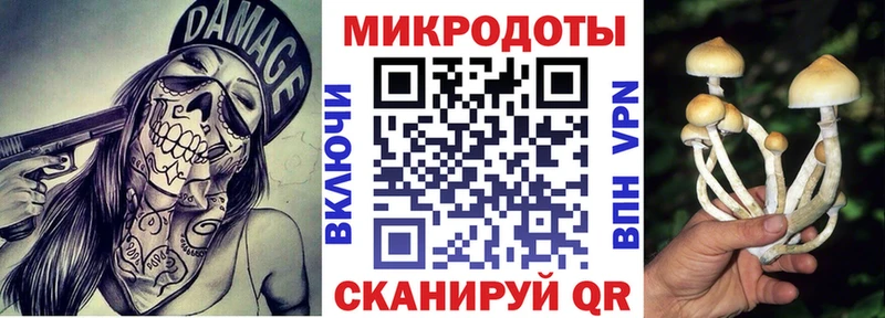 Псилоцибиновые грибы мицелий  Черняховск 